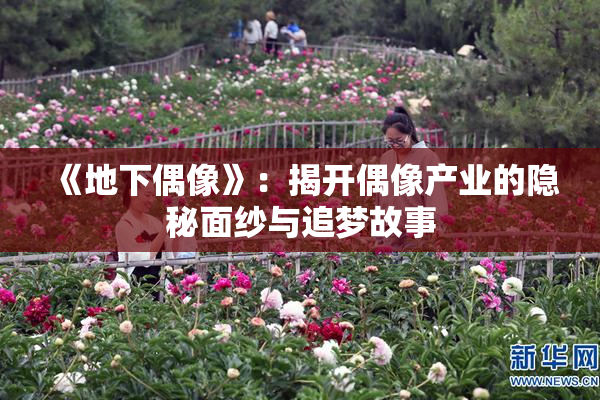 《地下偶像》：揭开偶像产业的隐秘面纱与追梦故事