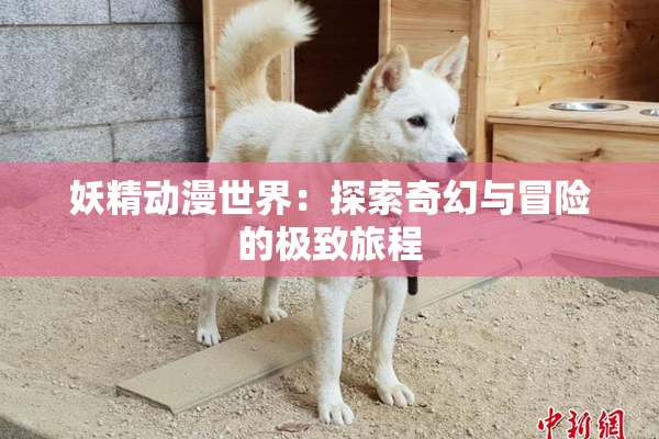 妖精动漫世界：探索奇幻与冒险的极致旅程