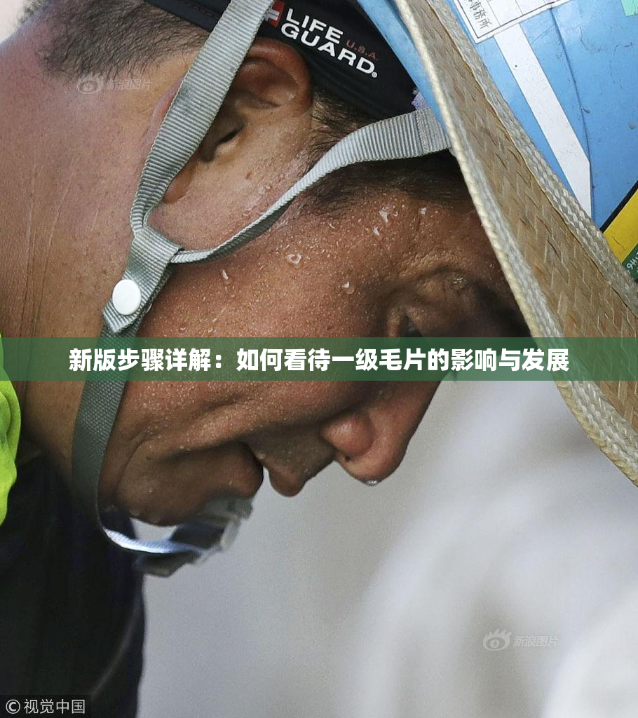 新版步骤详解：如何看待一级毛片的影响与发展