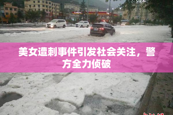 美女遭刺事件引发社会关注，警方全力侦破