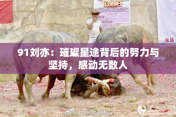 91刘亦：璀璨星途背后的努力与坚持，感动无数人