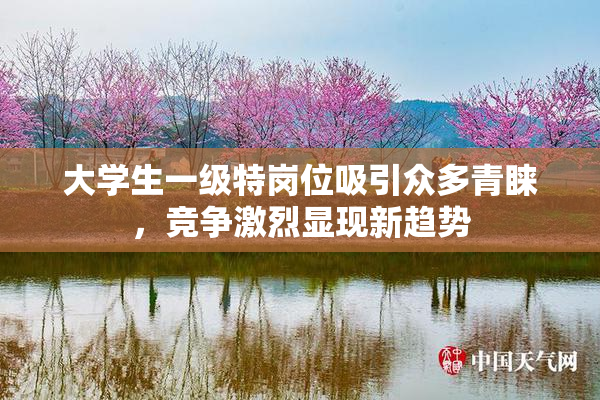 大学生一级特岗位吸引众多青睐，竞争激烈显现新趋势