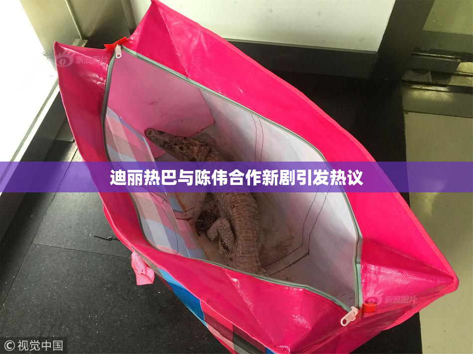 迪丽热巴与陈伟合作新剧引发热议