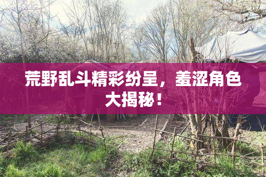 荒野乱斗精彩纷呈，羞涩角色大揭秘！