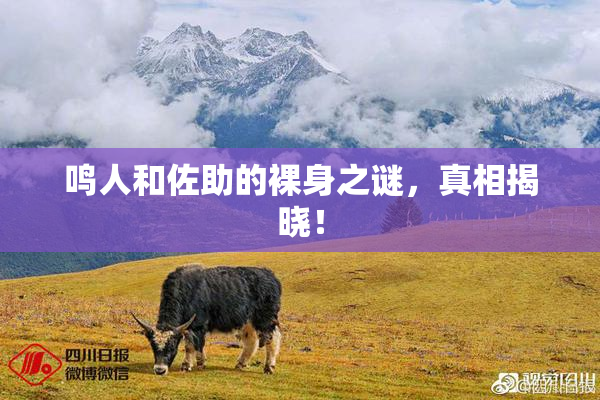 鸣人和佐助的裸身之谜，真相揭晓！