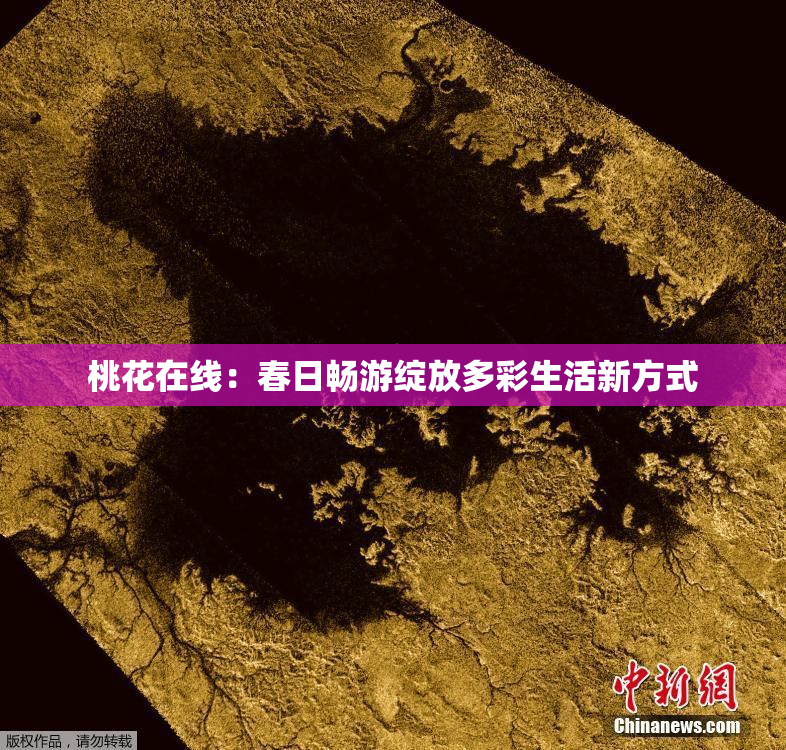 桃花在线：春日畅游绽放多彩生活新方式
