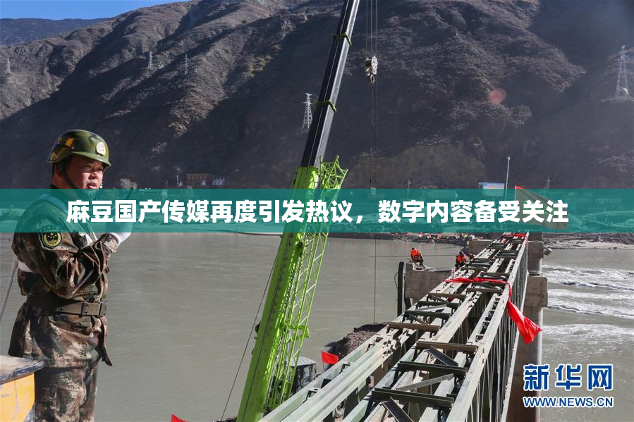 麻豆国产传媒再度引发热议，数字内容备受关注