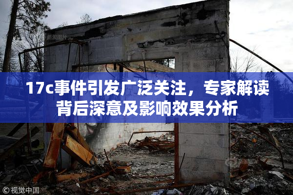 17c事件引发广泛关注，专家解读背后深意及影响效果分析