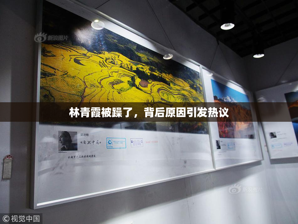 林青霞被躁了，背后原因引发热议