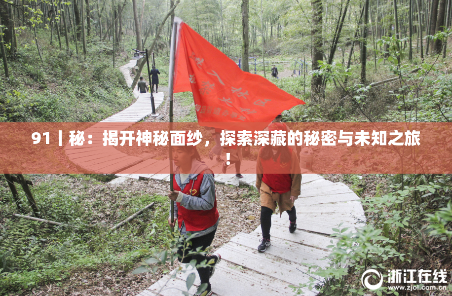 91丨秘：揭开神秘面纱，探索深藏的秘密与未知之旅！