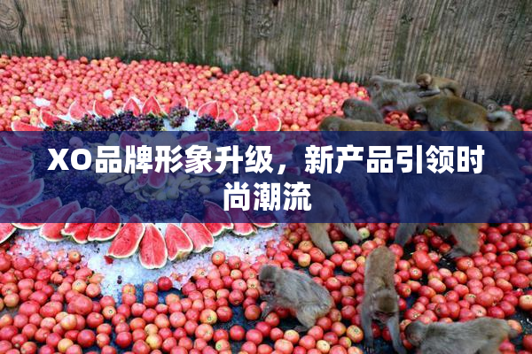 XO品牌形象升级，新产品引领时尚潮流