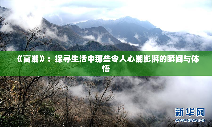 《高潮》：探寻生活中那些令人心潮澎湃的瞬间与体悟