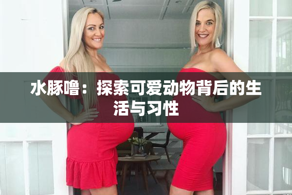 水豚噜：探索可爱动物背后的生活与习性