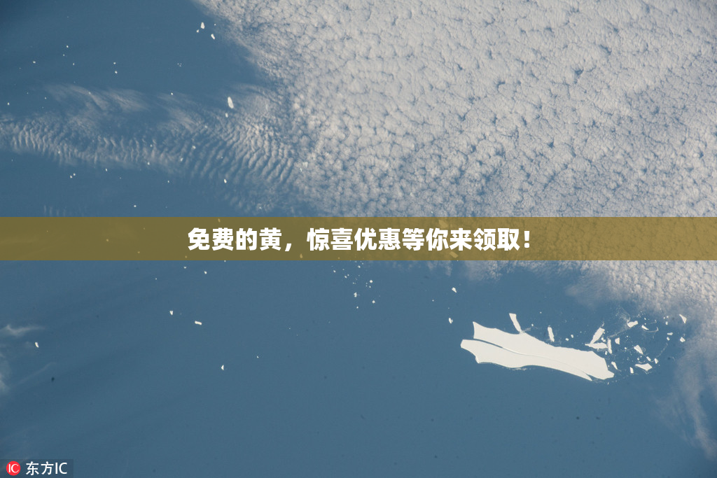 免费的黄，惊喜优惠等你来领取！