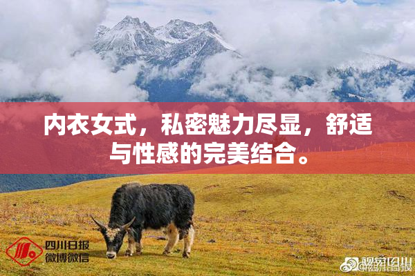 内衣女式，私密魅力尽显，舒适与性感的完美结合。