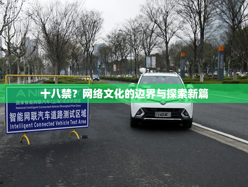 十八禁？网络文化的边界与探索新篇