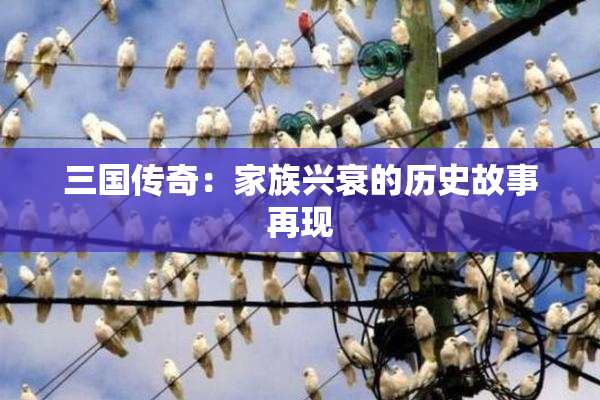 三国传奇：家族兴衰的历史故事再现