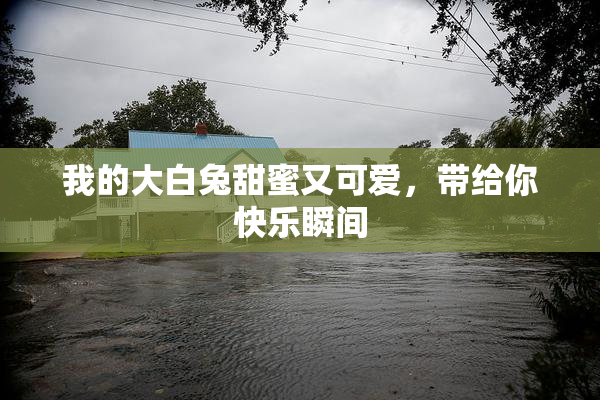我的大白兔甜蜜又可爱，带给你快乐瞬间