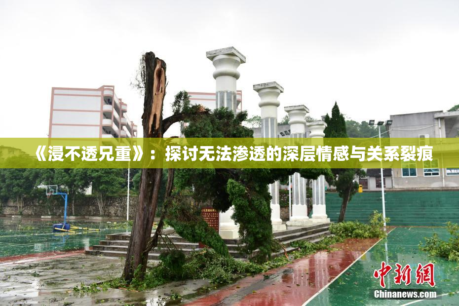 《浸不透兄重》：探讨无法渗透的深层情感与关系裂痕