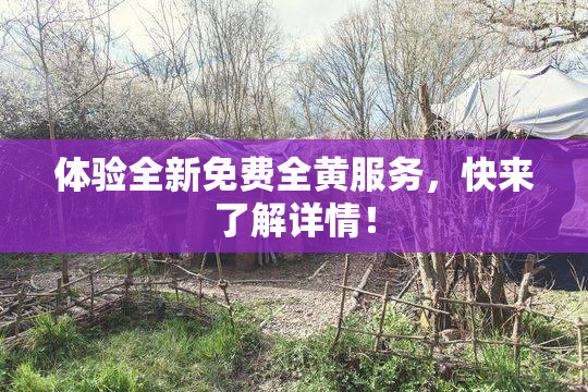 体验全新免费全黄服务，快来了解详情！