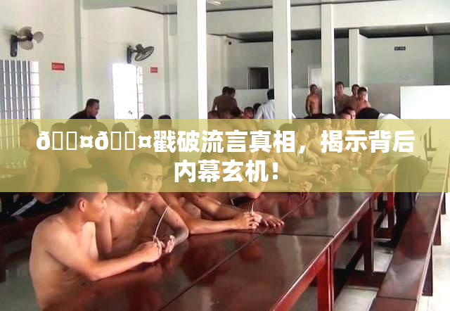🐤🐤戳破流言真相，揭示背后内幕玄机！