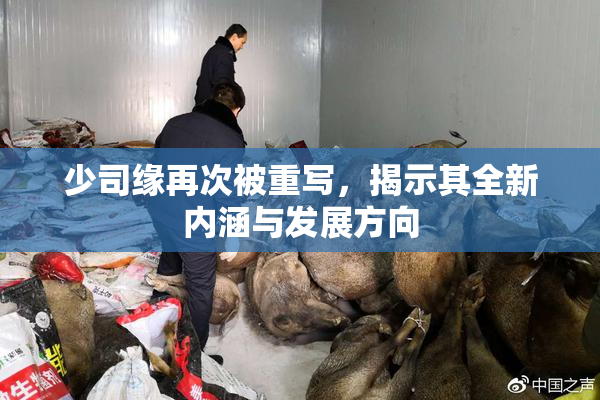 少司缘再次被重写，揭示其全新内涵与发展方向