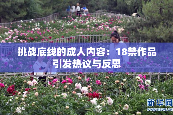 挑战底线的成人内容：18禁作品引发热议与反思