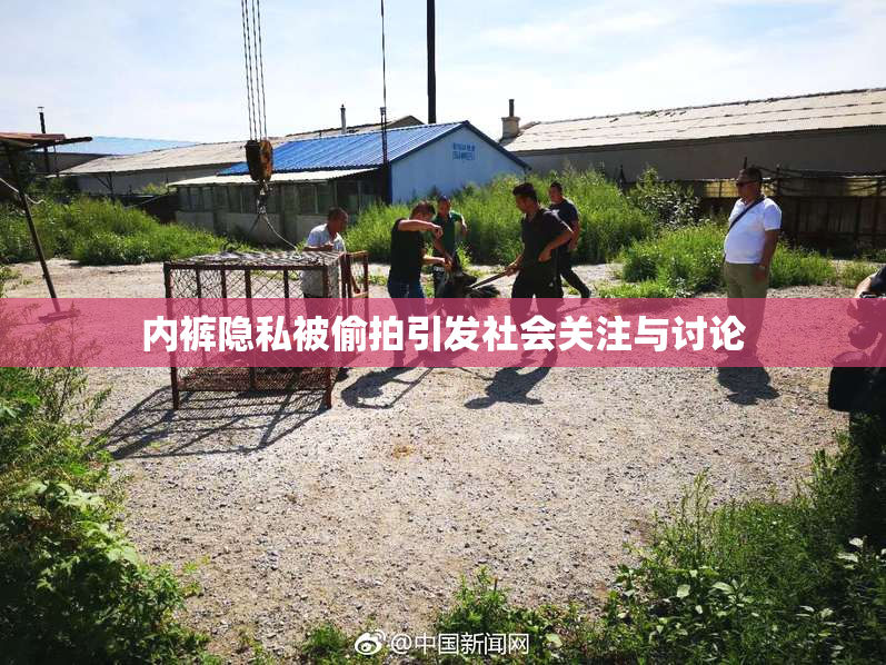 内裤隐私被偷拍引发社会关注与讨论