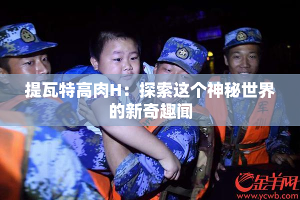 提瓦特高肉H：探索这个神秘世界的新奇趣闻