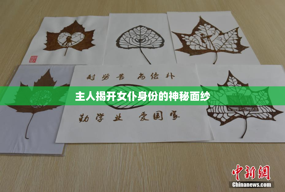 主人揭开女仆身份的神秘面纱