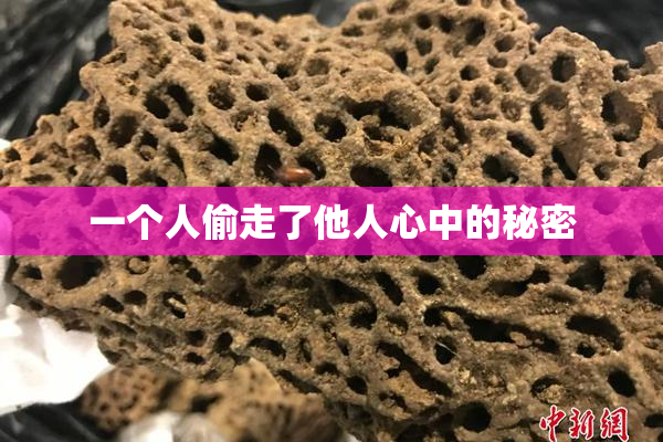 一个人偷走了他人心中的秘密