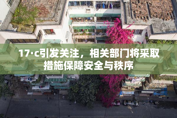 17·c引发关注，相关部门将采取措施保障安全与秩序