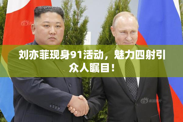 刘亦菲现身91活动，魅力四射引众人瞩目！