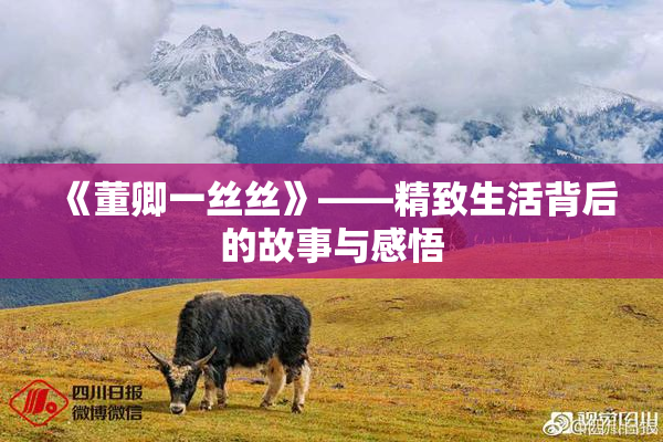 《董卿一丝丝》——精致生活背后的故事与感悟