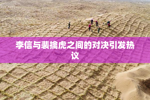 李信与裴擒虎之间的对决引发热议