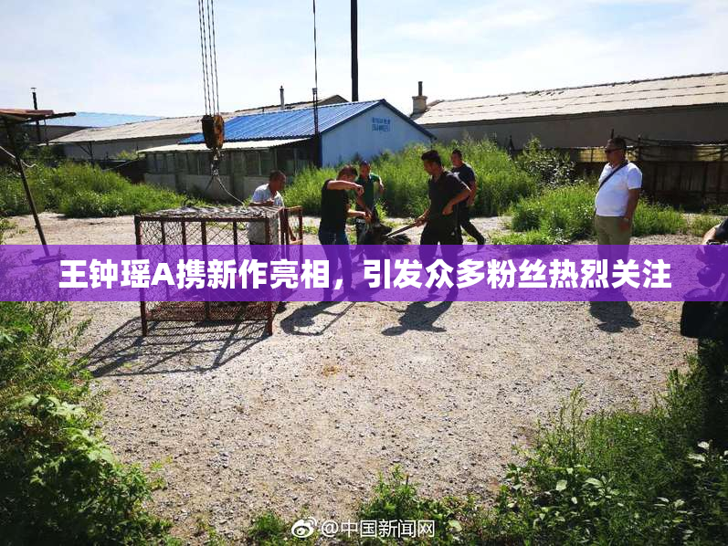 王钟瑶A携新作亮相，引发众多粉丝热烈关注