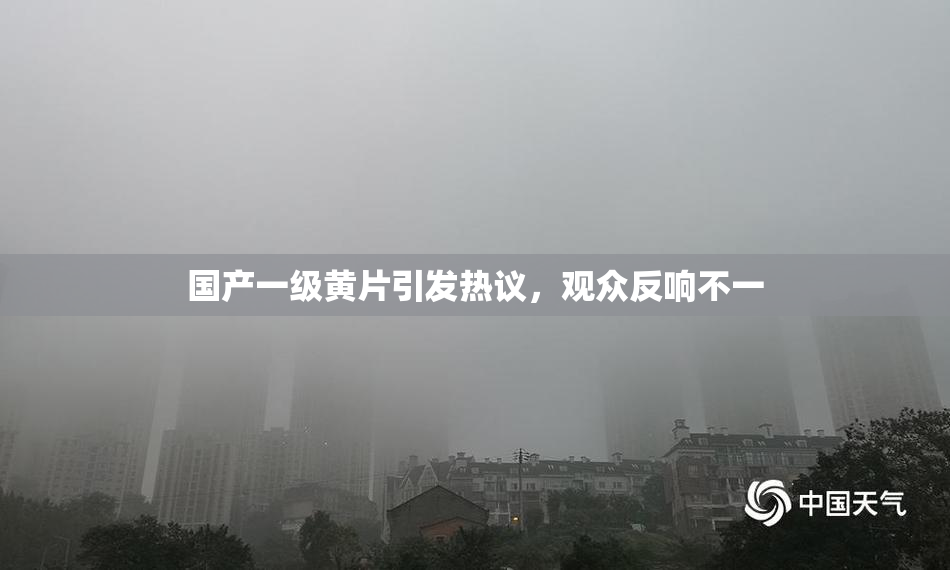 国产一级黄片引发热议，观众反响不一