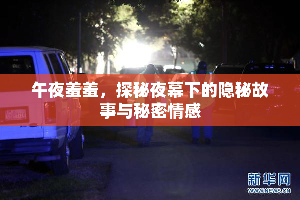 午夜羞羞，探秘夜幕下的隐秘故事与秘密情感