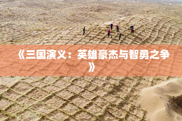 《三国演义：英雄豪杰与智勇之争》