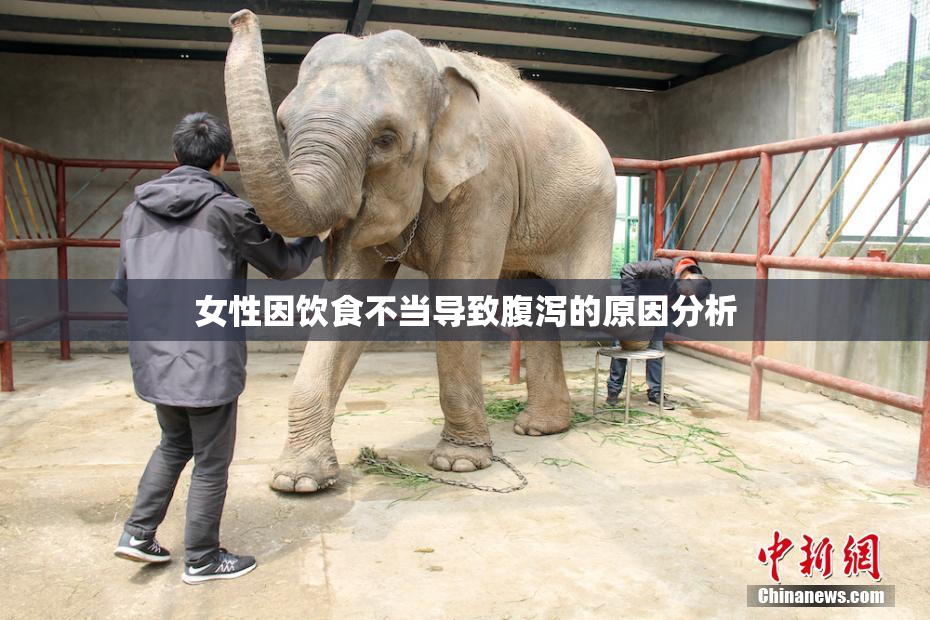 女性因饮食不当导致腹泻的原因分析