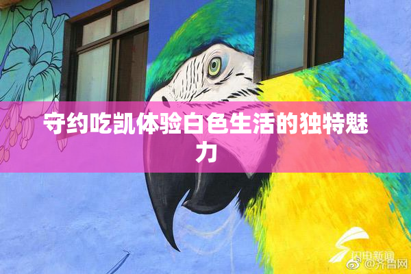 守约吃凯体验白色生活的独特魅力