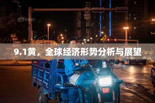 9.1黄，全球经济形势分析与展望