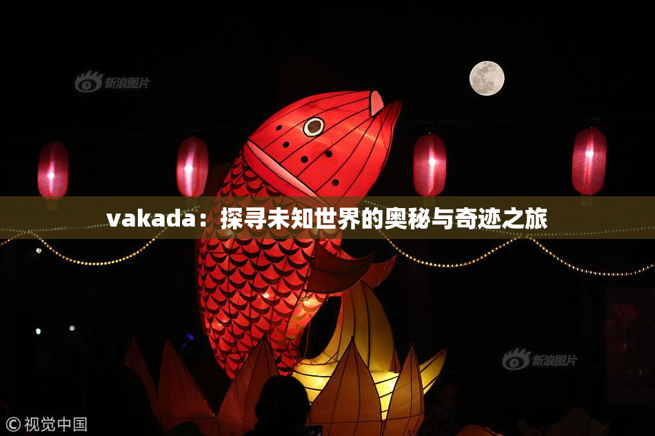 vakada：探寻未知世界的奥秘与奇迹之旅