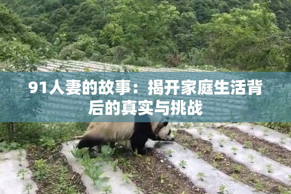 91人妻的故事：揭开家庭生活背后的真实与挑战