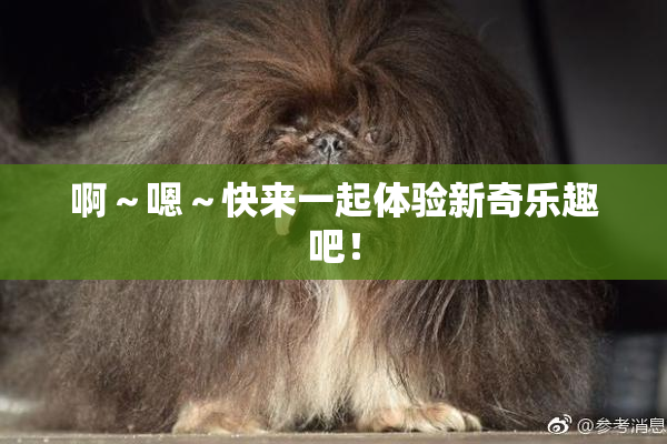 啊～嗯～快来一起体验新奇乐趣吧！