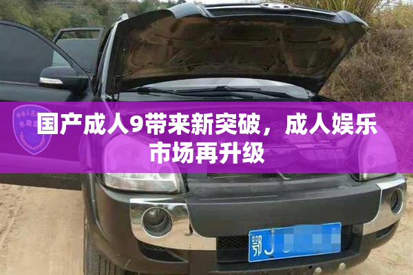 国产成人9带来新突破，成人娱乐市场再升级
