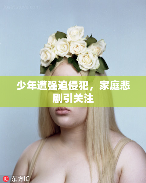 少年遭强迫侵犯，家庭悲剧引关注