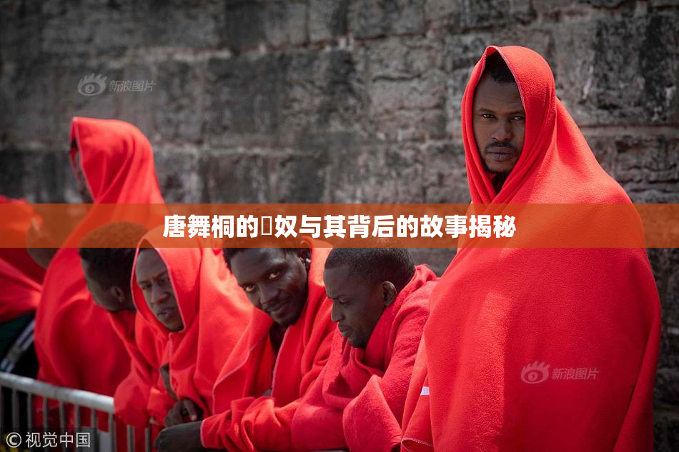唐舞桐的婬奴与其背后的故事揭秘