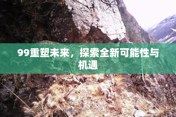 99重塑未来，探索全新可能性与机遇