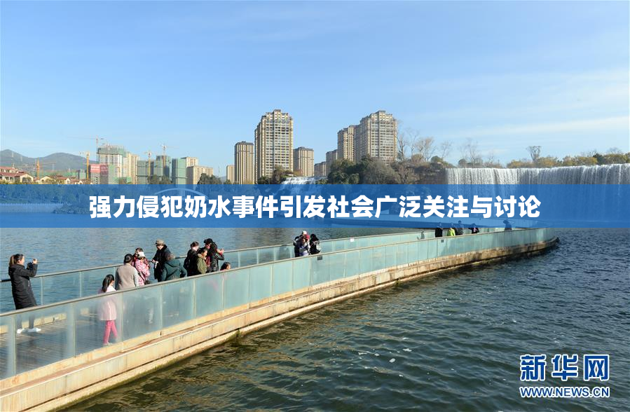 强力侵犯奶水事件引发社会广泛关注与讨论